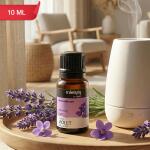 Eyelet Violet Aroma Diffuser Oil, Morning Light Fragrance for Home & Relaxing Aromatherapy (10Ml)