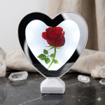 Magic Heart Infinity Mirror