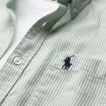 Men’s Premium Pastel Green Vertical Striped Slim-Fit Formal Shirt