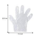 Disposable Clear Plastic Gloves (100 Pc, Large)