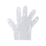 Disposable Clear Plastic Gloves (100 Pc, Large)