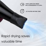 Professional Hair Dryer – High Power 2-Speed Salon Dryer | Calm & Curl