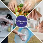 Disposable Clear Plastic Gloves (100 Pc, Large)