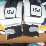 Cricket batting Glaves