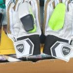 Cricket batting Glaves